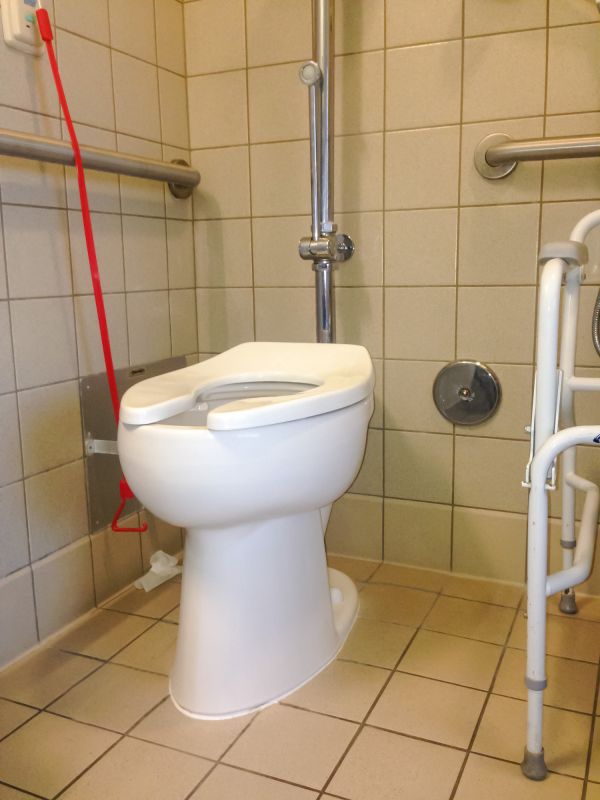 Toilet Grab Bars Installation