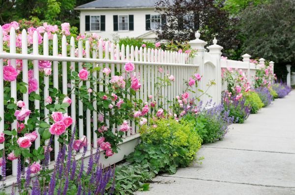 Fence Installation