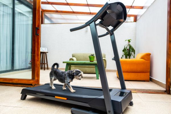 Cost of Treadmill Installation in Barrington