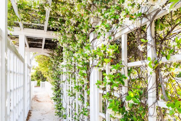 Cost of Trellis Repair in Barrington