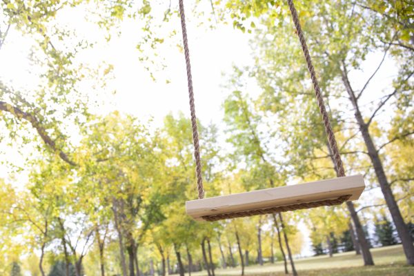 Cost of Tree Swing Installation in Barrington