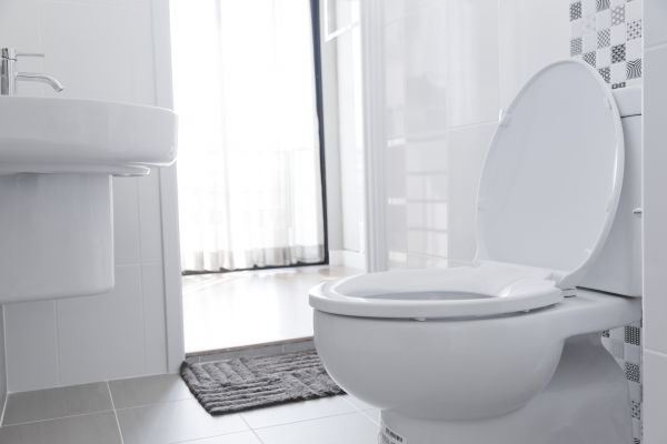 Toilet Seat Installation in Barrington