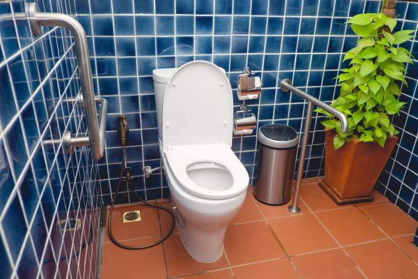Disabled Grab Bar Installation