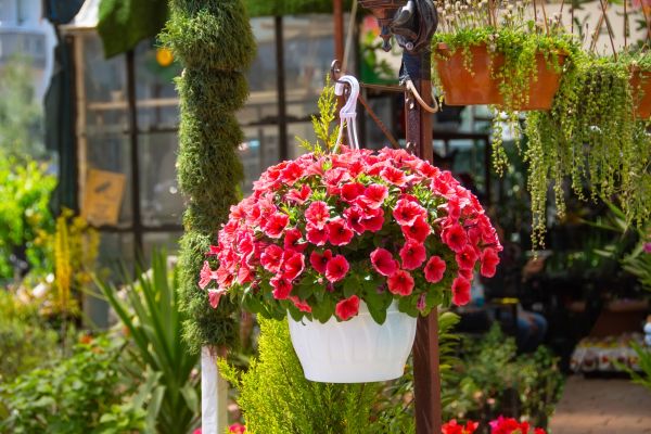 Cost of Hanging Planter Installation in Barrington