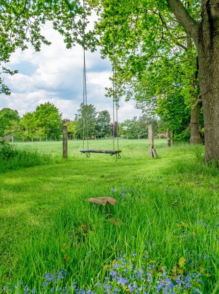 Tree Swing Mounting