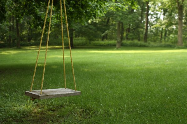 Cost of Rope Swing Installation in Barrington