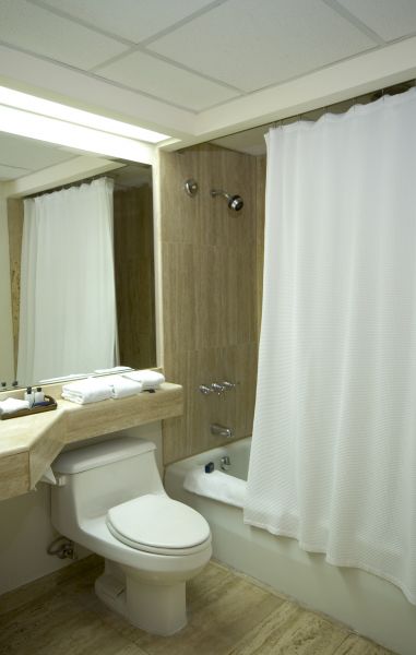 Shower Curtain Mounting