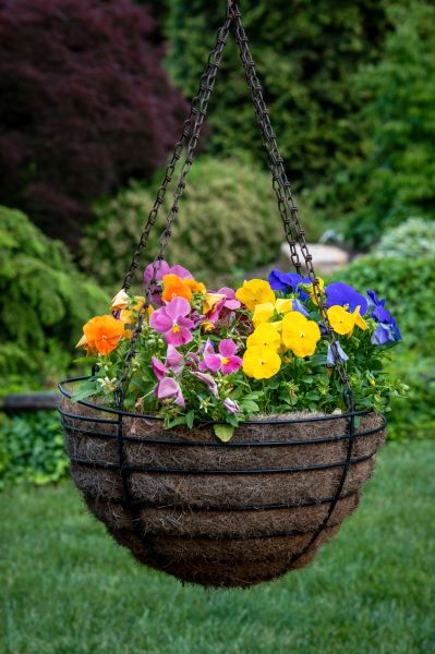 Cost of Hanging Basket Installation in Barrington