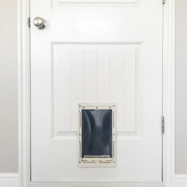 Pet Door Repair in Barrington