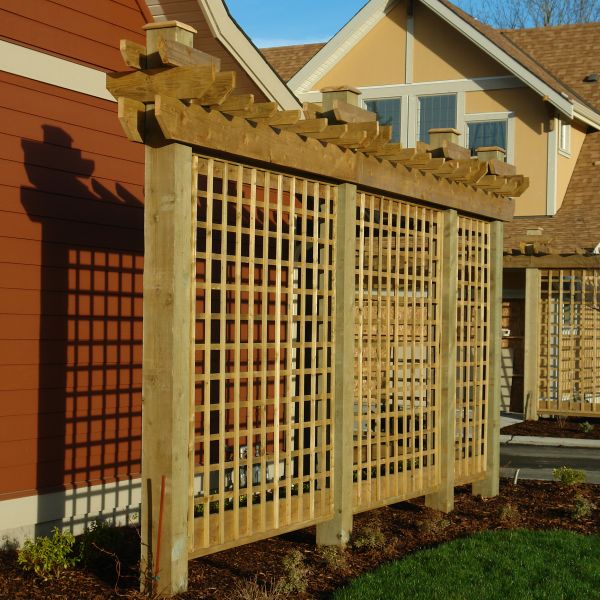 Trellis Construction