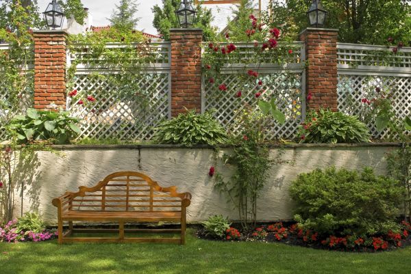 Trellis Assembly