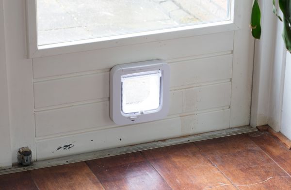 Dog Flap Replacement