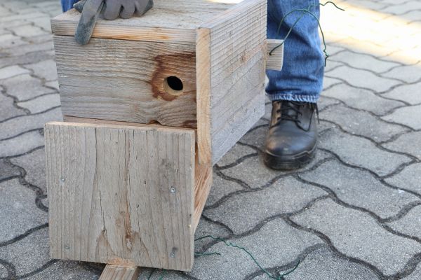 Birdhouse Mounting in Barrington