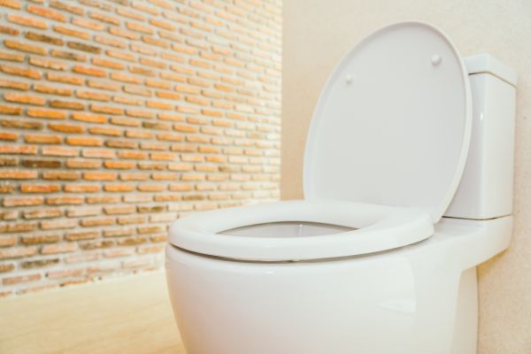 Toilet Seat Repair in Barrington